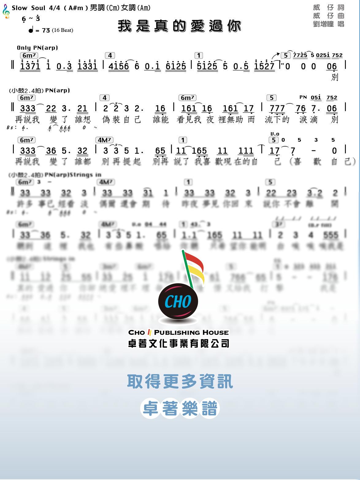 我是真的愛過你